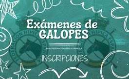 Examenes de galopes